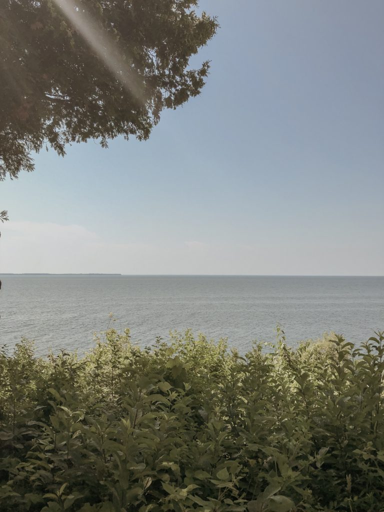 view of the harbor in peninsula state park in door county